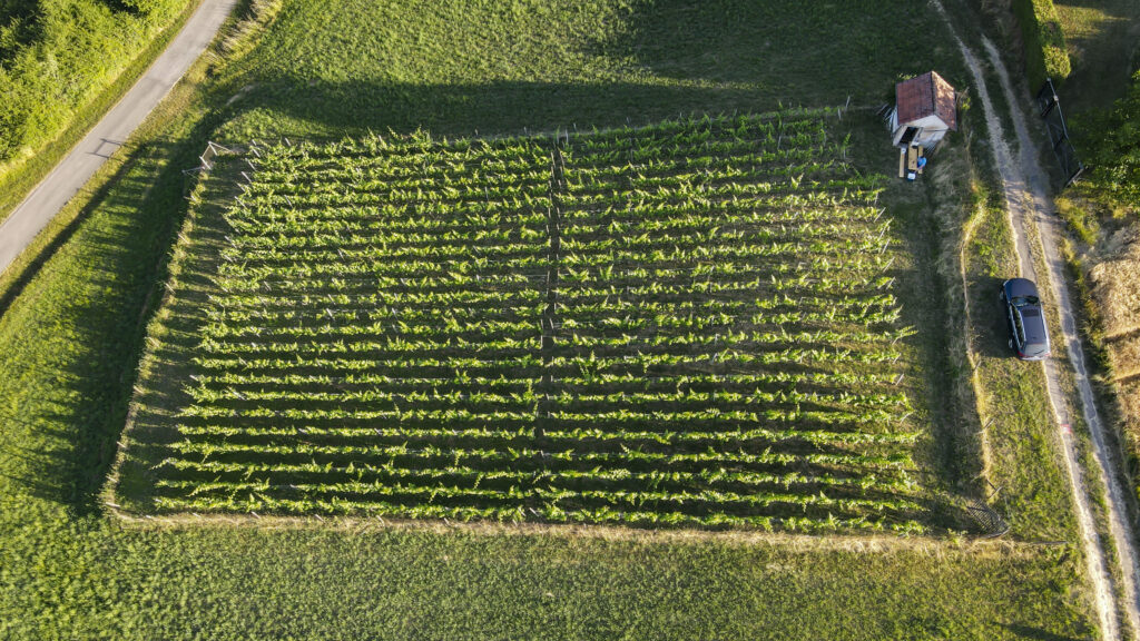 dji_fly_20230625_192644_116_1687714016507_photo_be